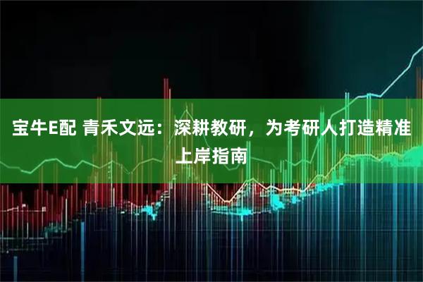 宝牛E配 青禾文远：深耕教研，为考研人打造精准上岸指南